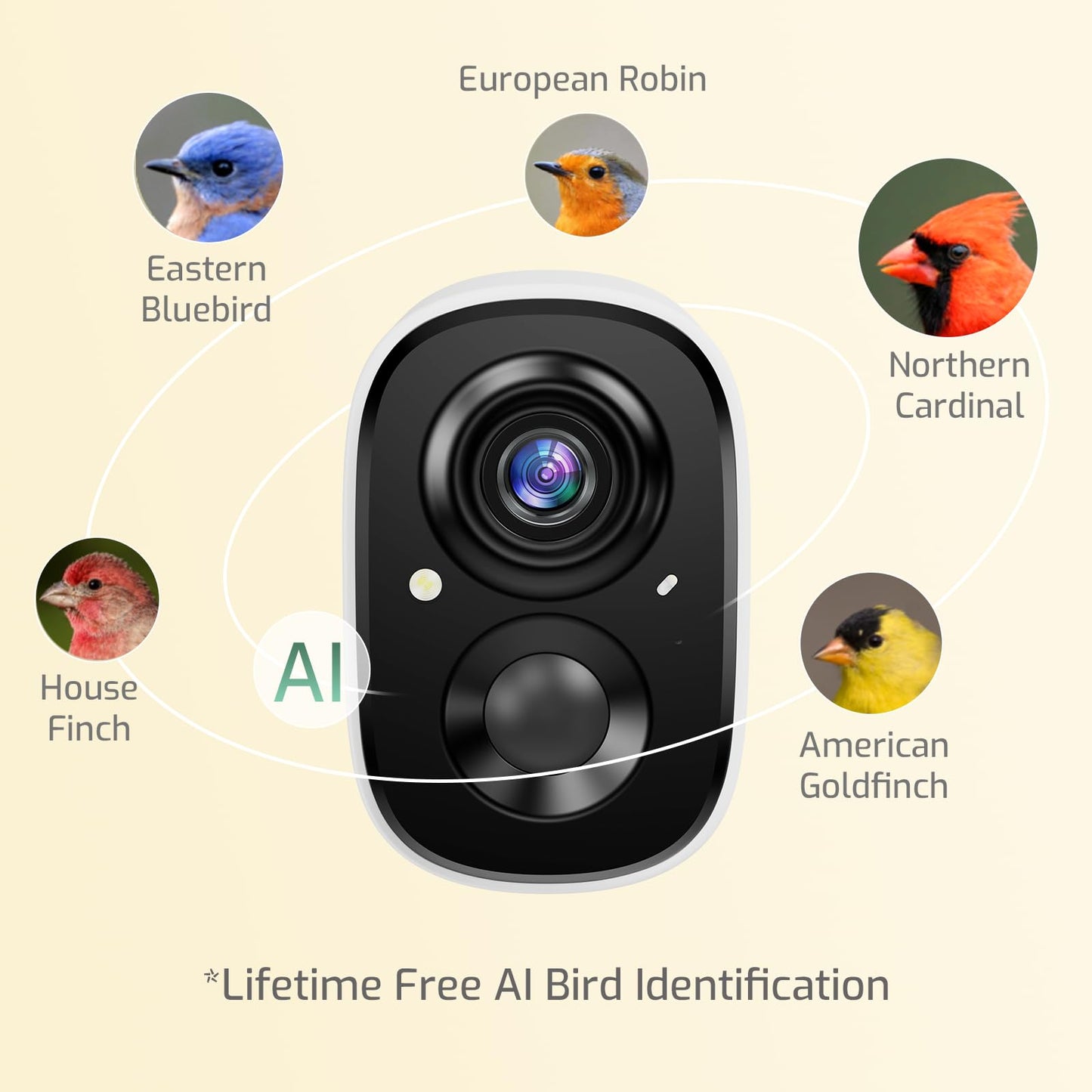 Richbird Smart Bird Feeder with Camera, 2.5K Ultra-HD Live Stream Bird House Camera, Free AI Identify Bird Species, Solar Powered Bird Feeder with 2.4L Large Capacity, Ideal Gift for Bird Lovers