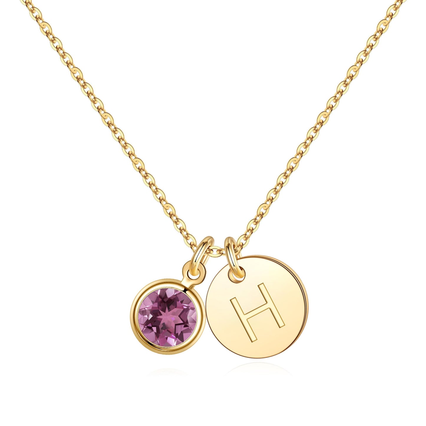 Hidepoo Initial Birthstone Necklace Gifts - Personalized Mothers Day Birthday Gift for Woman Wife Sister Grandma Mom, February Amethyst Birthstone Jewelry for Women, Disc Letter H Necklaces