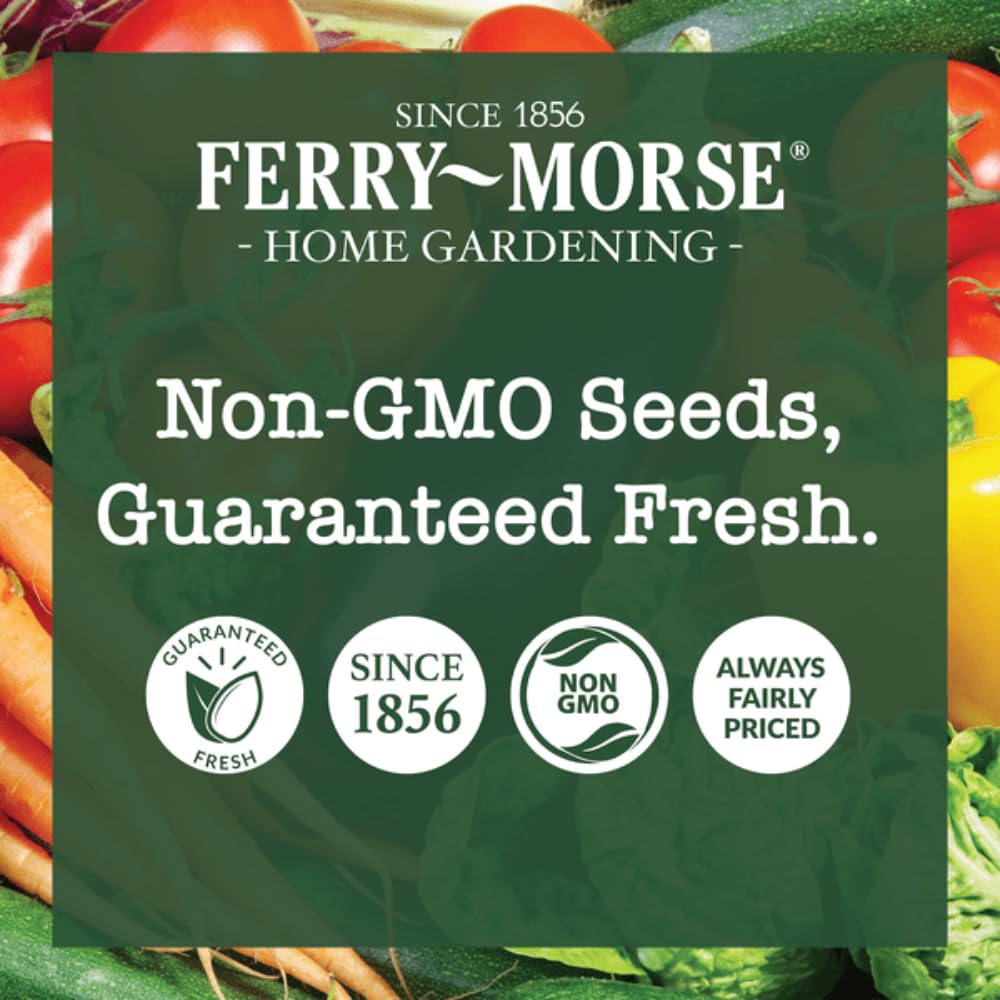 Ferry Morse Vegetable Seed Variety Pack - Heirloom Seeds Non GMO Organic - 6 Pack