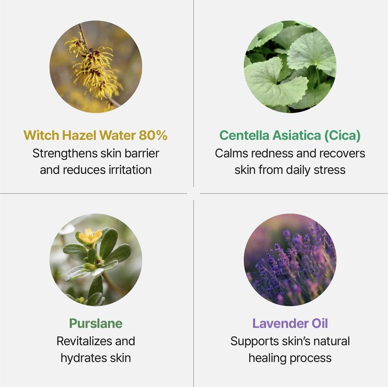 Groundplan - Hydrating face mist spray | facial spray mist | face spray mist hydrating | facial spray hydrating | facial mist spray for all skin types (0.68 Fl.oz)