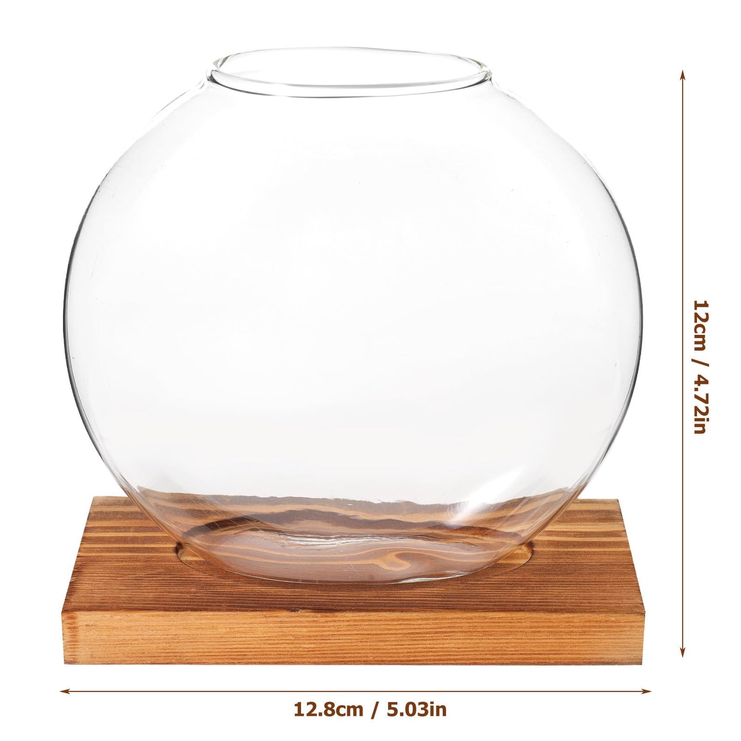 BESPORTBLE Hydroponic Glass Plant Vase with Wood Base, Glass Propagation Station for Desk Decorations, Indoor Home and Office Terrarium Planter for Greenery Display