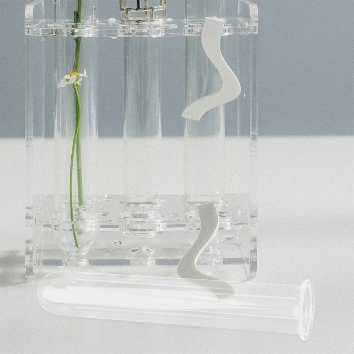 HOOTNEE 4pcs Glass Hydroponic Plant Test Tube Vases 2.5x3x18cm Propagation Tubes for Indoor Terrarium Decor and Desk Plant Cuttings