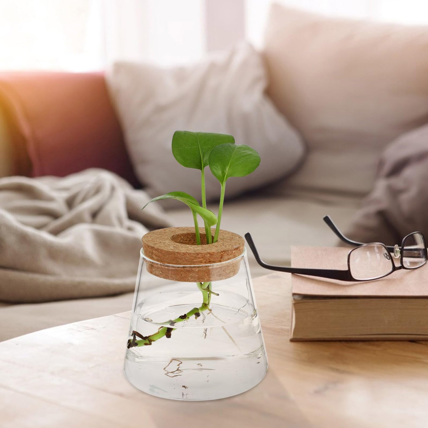 BESPORTBLE Glass Hydroponic Planter Vase 2pcs, 6.5cm Mouth Diameter Glass Plant Pots for Indoor Garden Decoration and Desktop Plant Propagation, Home Office Terrarium Environment