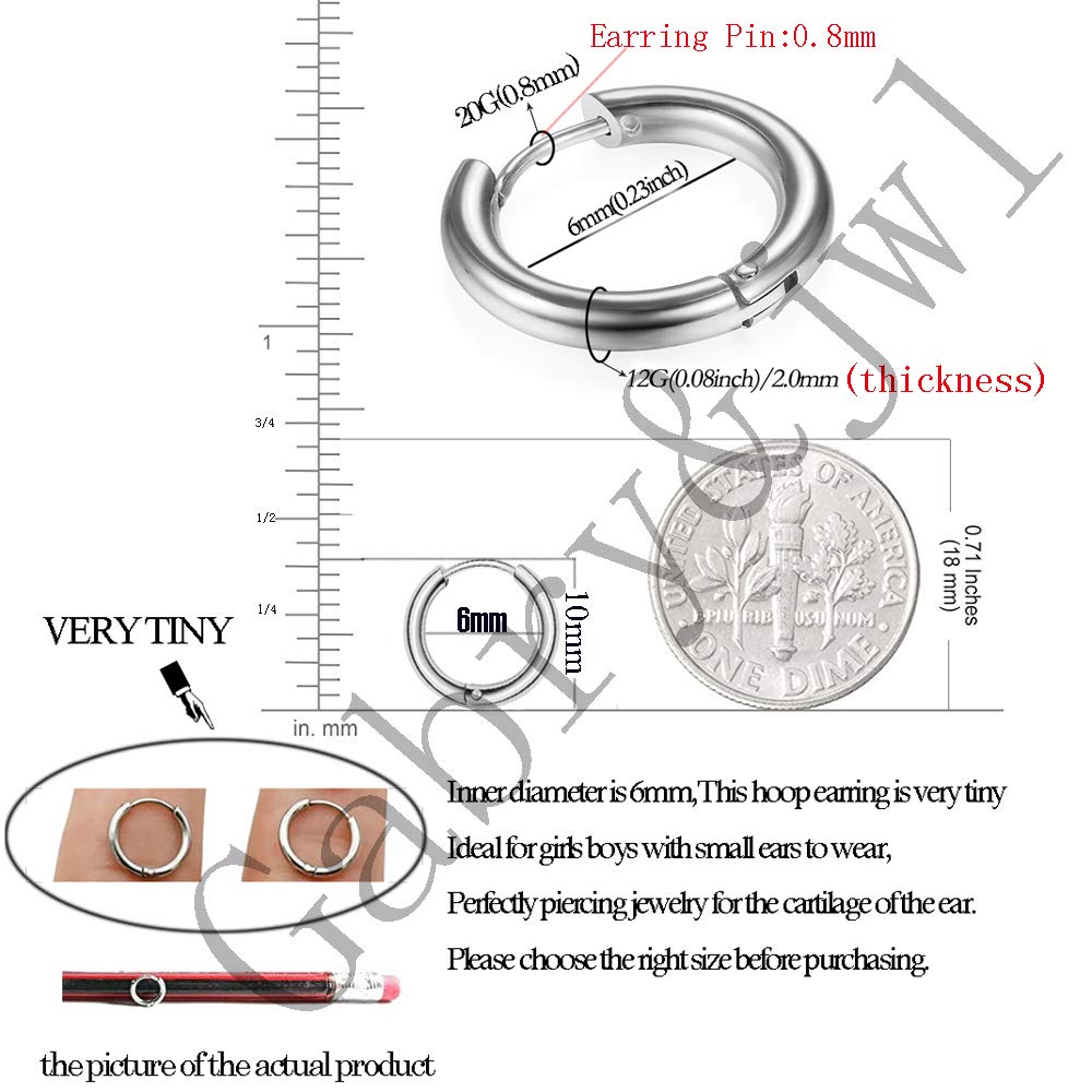 Gabry&jwl 316L Surgical Stainless Steel Huggie Hoop Earrings 6mm Silver Hypoallergenic Earrings Hoop Cartilage Helix Lobes Hinged Sleeper Earrings For Men Women(A02:6mm Silver(THK 2.0mm))