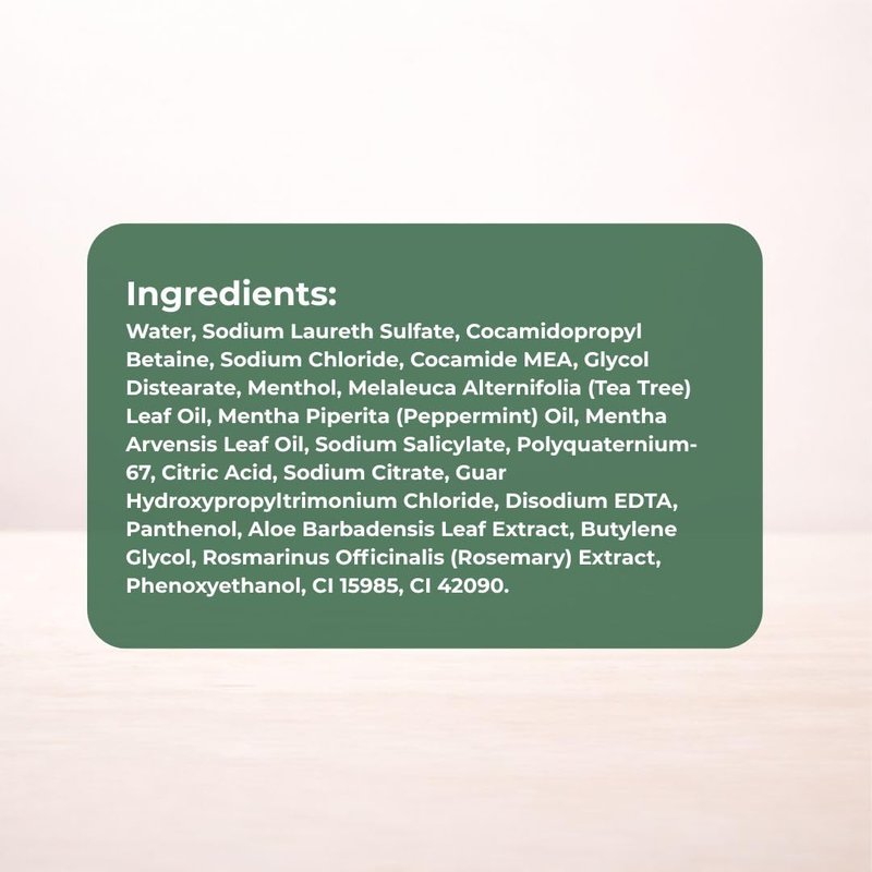 Daeng Gi Meo Ri Tea Tree Cool Shampoo | Cooling Scalp Care with Tea Tree & Aloe Vera | Refreshes Oily Hair, Hydrates Dry Hair, Gentle Cleansing | 1000ml