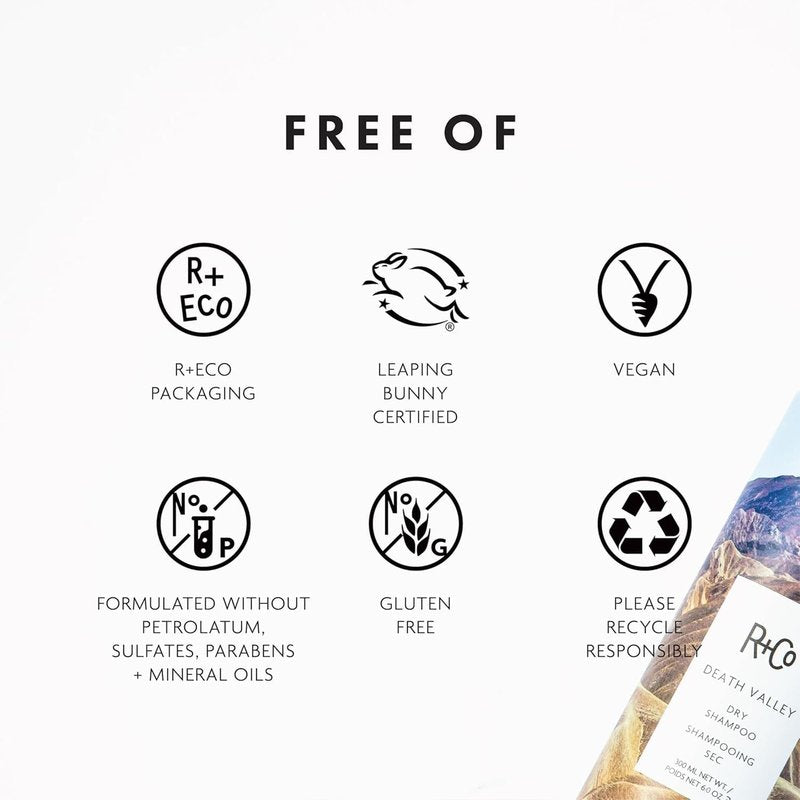 R+Co Death Valley Dry Shampoo | Adds Volume, Body and Absorbs Oil & Adds Texture | Vegan, Gluten-Free & No Parabens | 6 Ounce (Pack of 1)