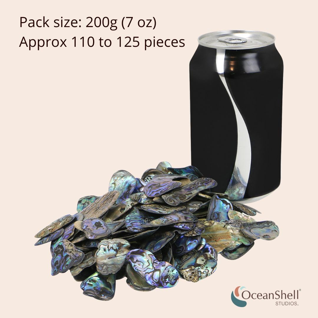 Abalone (Pāua) Shell Pieces-7.05oz Pack-for Crafts, Jewelry Making, Resin Art, Inlay, Home Decorations, Fishtank Supplies, DIY Projects - Satin, Small Size .60"- .98" (15-25 mm) 7.05oz (200grams)