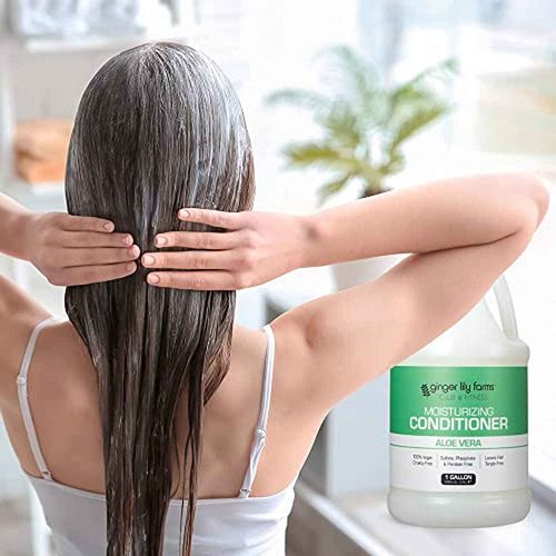 Ginger Lily Farms Club & Fitness Moisturizing Conditioner for Dry Hair, 100% Vegan & Cruelty-Free, Aloe Vera Scent, 1 Gallon Refill (Pack of 4)