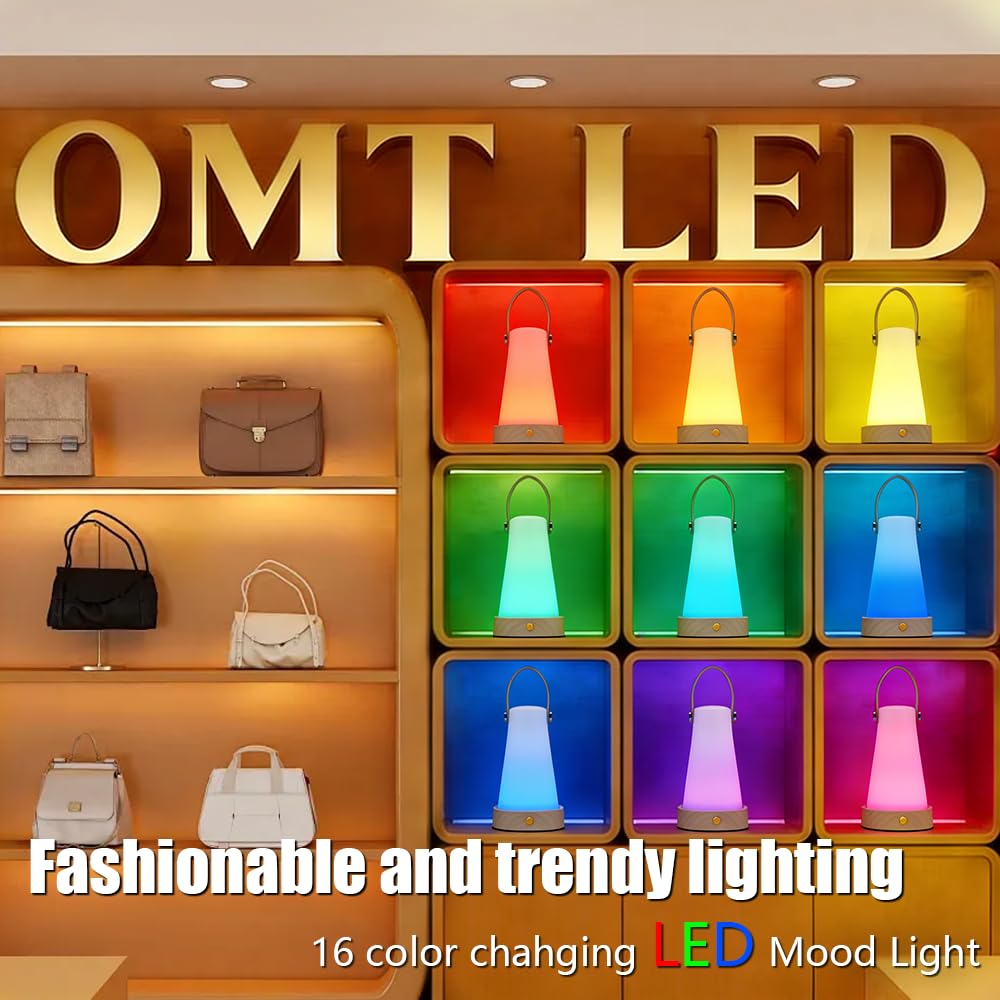 OMTLED Portable Night Light LED Outdoor Camping Lantern Rechargeable Table Night Lamp Dimmable Waterproof Table Light with Remote Control for Bedroom Garden Camping Dining (BM)