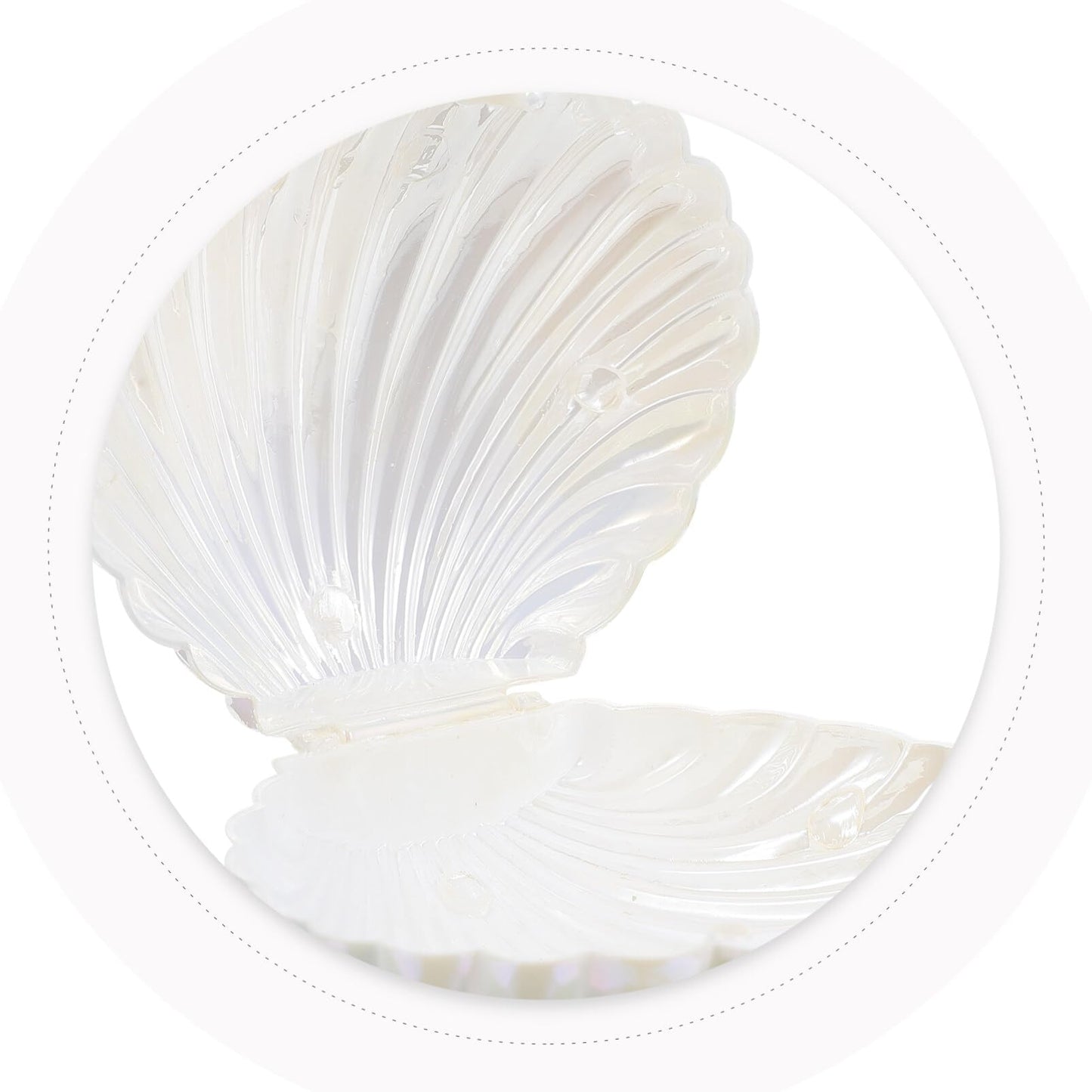 Gadpiparty 10pcs Sea Shell Party Favors, Shell Jewelry Box, for Birthday Decorations and Under the Sea Theme Party Ocean Beach Goodie Treat Supplies