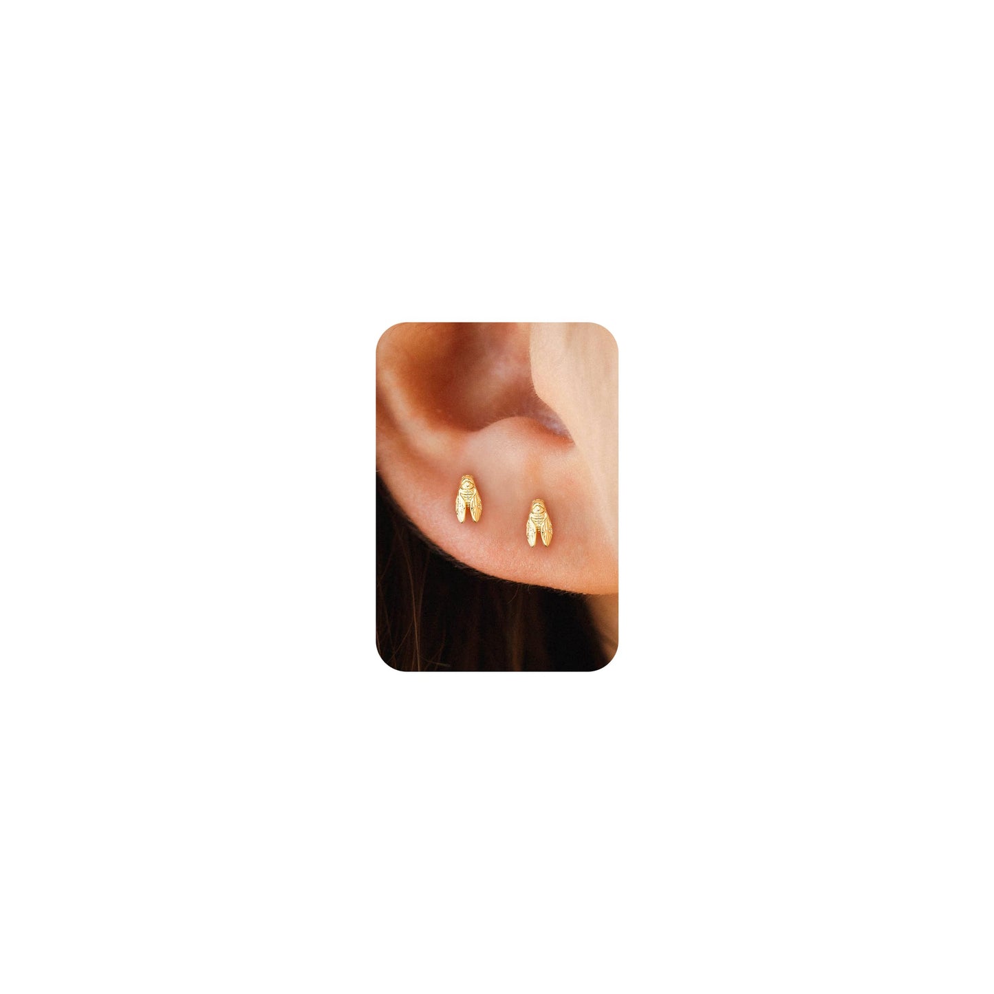 Plenky Gold Earrings for Women - 2 Pairs 14K Gold Plated Small Cicada Stud Earrings Set Insect Summer Beachy Jewelry for Women Gifts