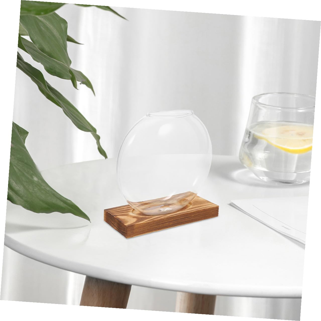 EXAOMBLE 2pcs Hydroponic Glass Vase with Wooden Base, Glass Flower Pot for Plant Propagation, Indoor Terrarium Planter for Home and Office Décor
