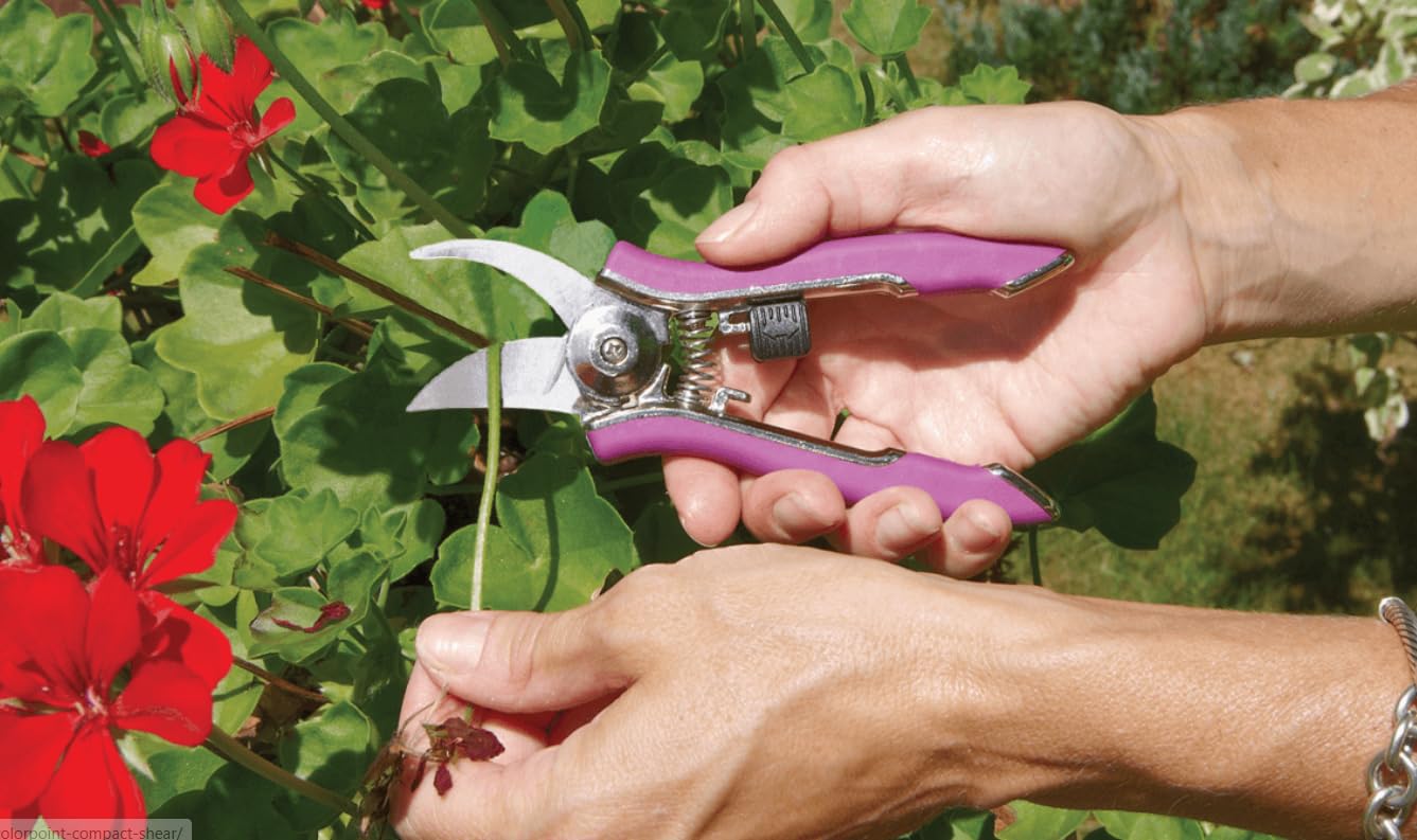 Dramm ColorPoint Stainless Steel Compact Garden Pruning Shears, Hand Pruner, Garden Clippers, with Heavy Duty Blade and Easy grip Handle, Green