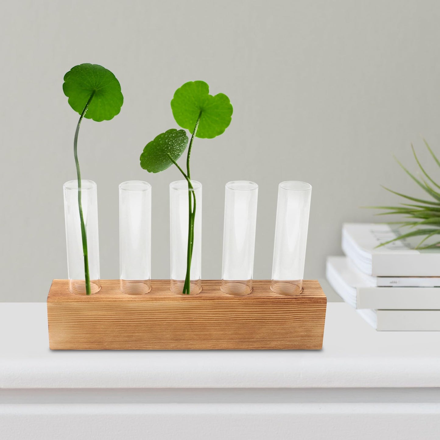 PATKAW Glass Hydroponic Plant Vase with 5-Hole Wooden Stand, Tabletop Test Tube Planter for Home Décor, Succulent Terrarium and Air Plant Propagation Station
