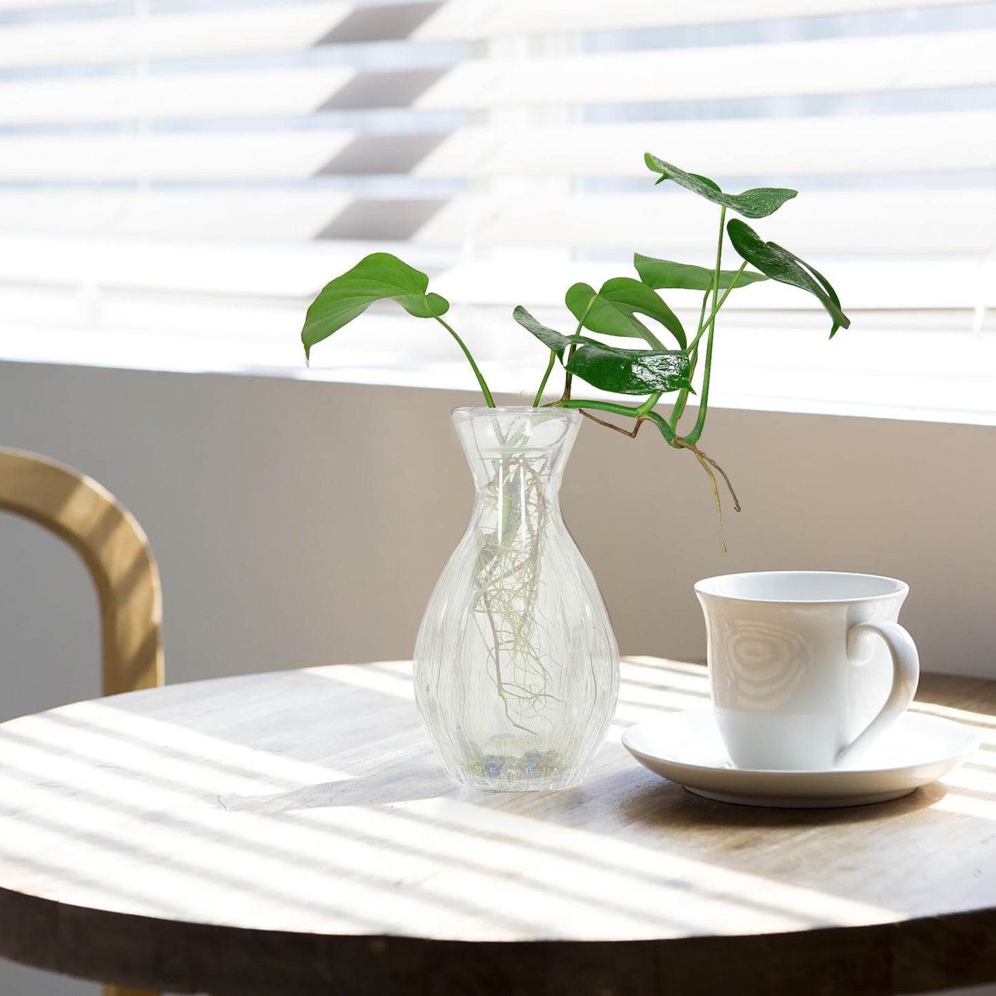ELEOUTI 4pcs Decorative Glass Vases for Flowers Small Hydroponic Terrarium Vase for Home Décor and Indoor Plant Display