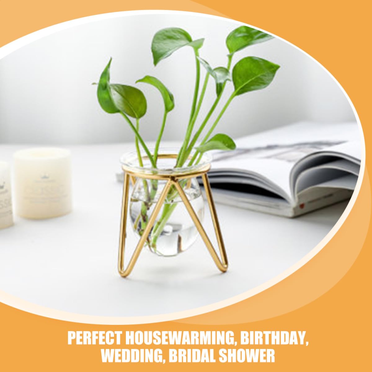 SEWACC Glass Vase with Metal Stand for Hydroponic Plants, Small Gold Bulb Planter Terrarium, Propagation Vase Holder for Home Desk Décor and Green Plant Display