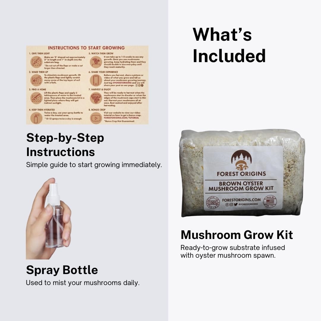 Forest Origins Brown Oyster Mushroom Grow Kit, Harvest Gourmet Mushrooms in 10 Days, Beginner Friendly, Handmade in California USA, Unique Gift