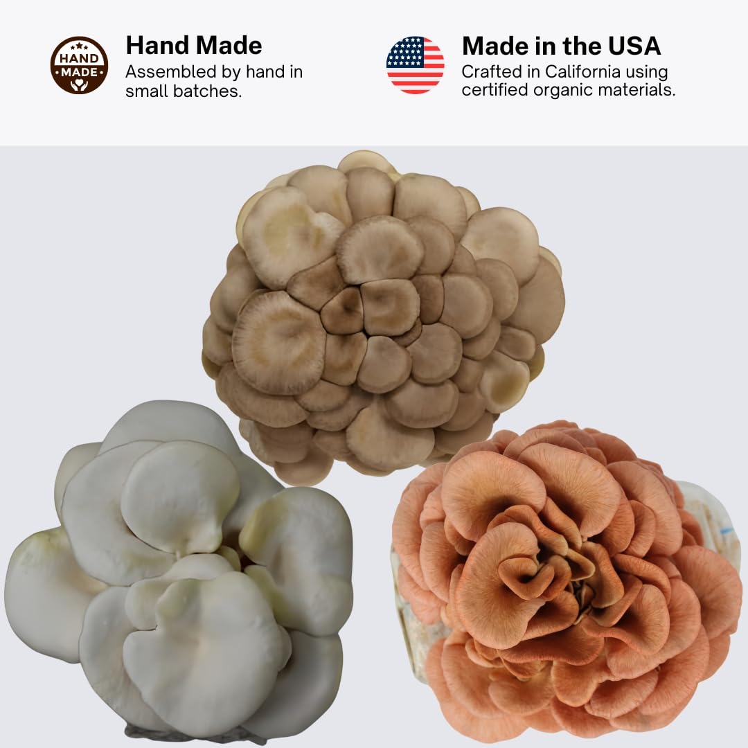 Forest Origins Specialty Trio Oyster Mushroom Grow Kit 3-Pack Variety - Beginner Friendly & Easy to Use, Grows in 10 Days | Handmade in California, USA | Top Gardening Gift, Holiday Gift & Unique Gift