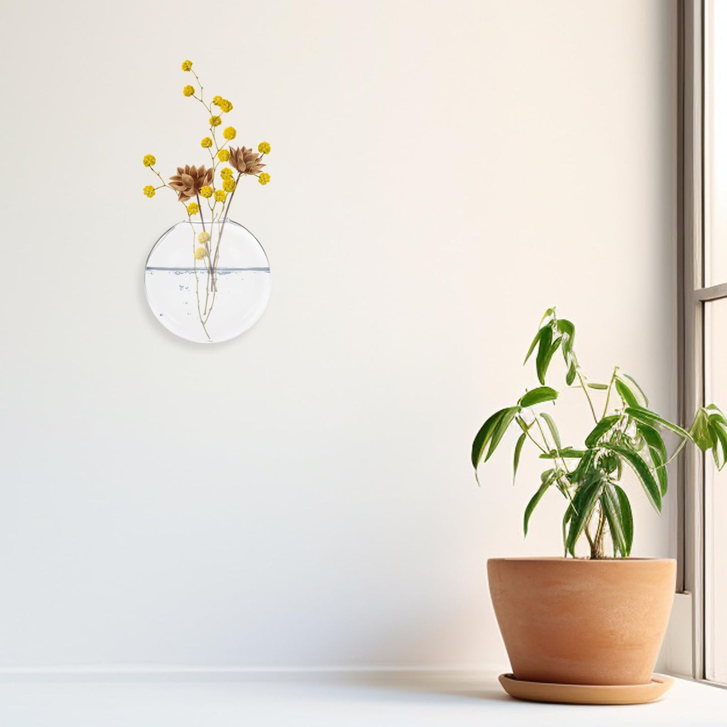 Hemobllo 2pcs Wall Mounted Hydroponic Glass Vases Glass Planter Holders for Indoor Plant Terrariums Home Decor