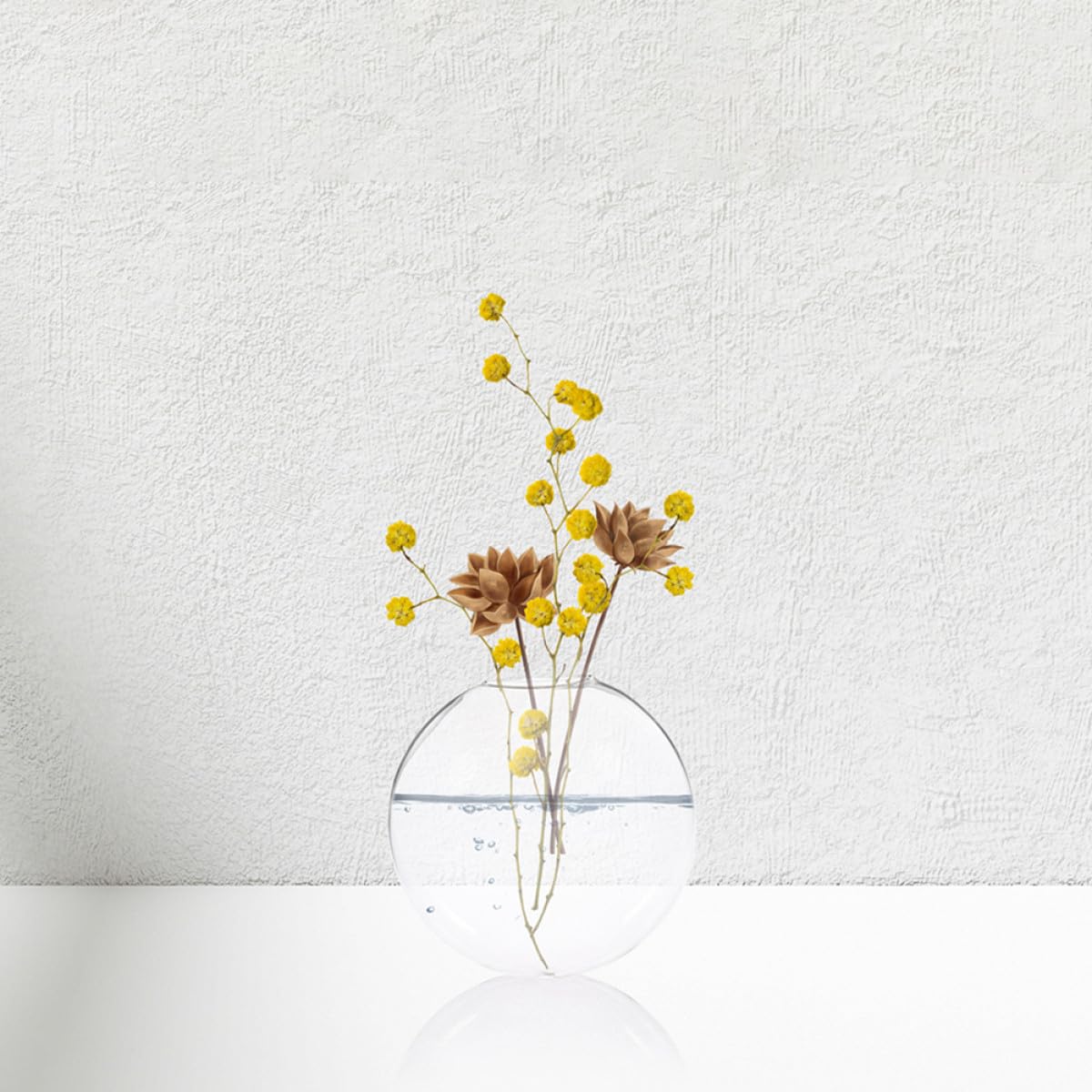 Uonlytech 2pcs Wall-Mounted Glass Hydroponic Vase Set for Indoor Plants Flat Glass Flower Vases with Hanging Holder Decorative Terrariums for Home Garden