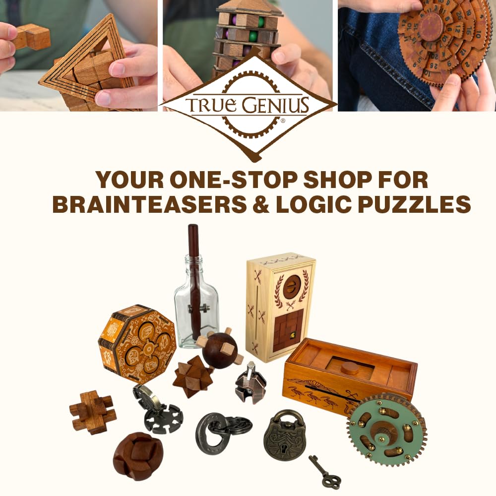 True Genius - Grecian Glass Bottle Disentanglement Brainteaser Puzzle, Logic Puzzle for Adults, Brain Teaser, Gifts for Father's Day, Men, Kids