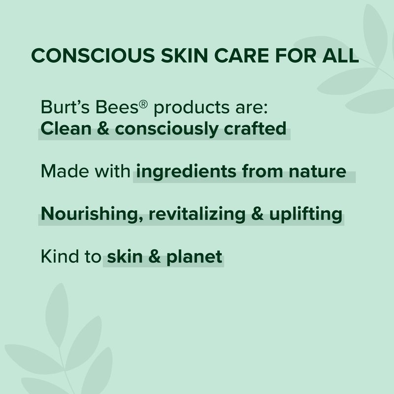 Burt's Bees 100% Natural Moisturizing Lipstick, Russet River, 1 Tube