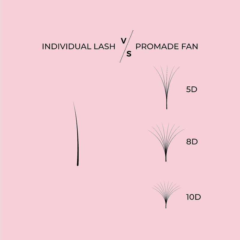 LLBA Promade Fans | Handmade Volume Eyelashes | Multi Selections From 3D To 16D | C CC D DD L M Curl | Thickness 0.03 ~ 0.1 mm | 8 - 20mm Length | Long Lasting | Easy Application (7D-0.05 D 10 mm)