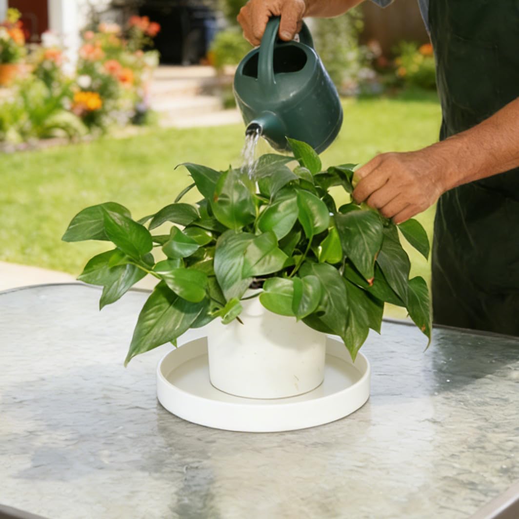 Afrine 1 Pack 12 inch Plant Saucer Drip Tray, Heavy Sturdy Plastic Planter Flower Pot Drainage Tray Plate Saucers for Indoor Outdoor Garden, Plant Water Drip Trays for pots Base (12", Creamy White)