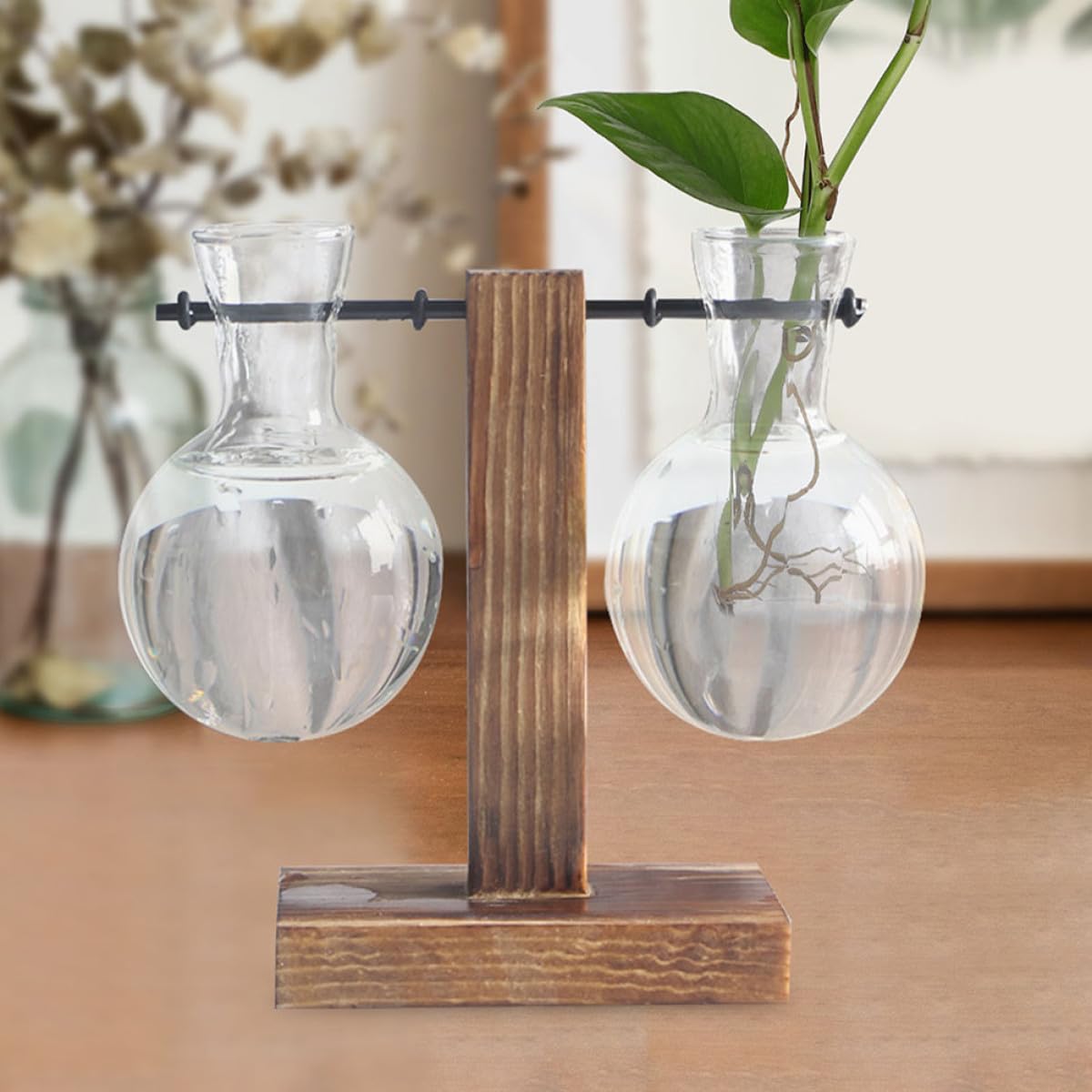 OSALADI 3Pcs Glass Hydroponic Vase with Wood Stand, High Borosilicate Glass Planter for Indoor Plant Propagation and Flower Display, Desk Terrarium Jars for Home and Office Decor