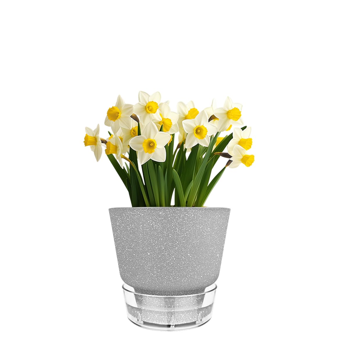 HYNZ Plant Pots - 6" Orchid Pot, 5 Pack Orchid Pots with Holes - Self Watering Pots for Indoor Plants - Plant Pots with Drainage Hole and Tray Saucer (Frosted Gray)