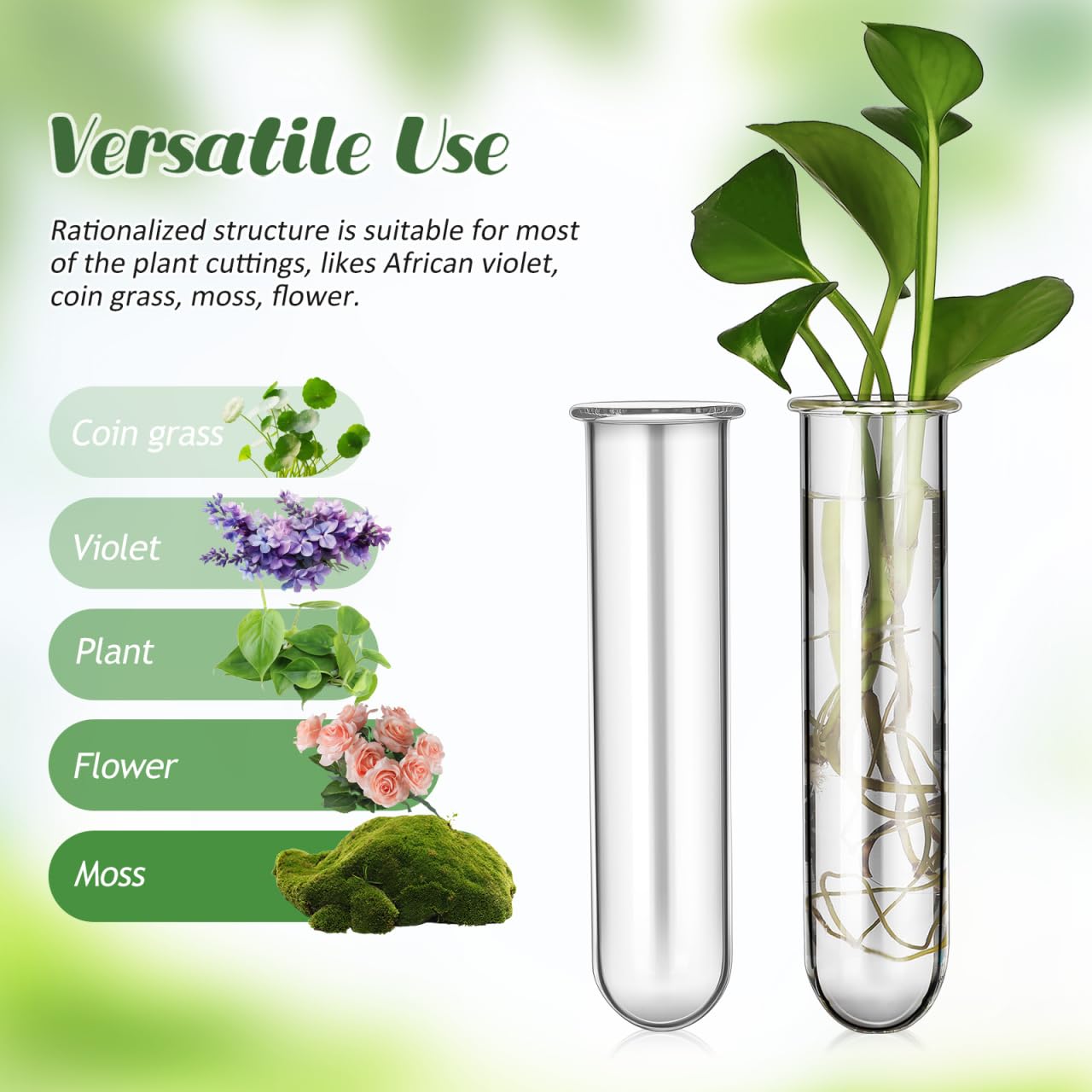 UKCOCO 5Pcs Glass Test Tube Vases 4.33 Inch Clear Propagation Tubes for Plant Cuttings Hydroponic Plant Holders Desktop Floral Arrangement for Home Office Decor