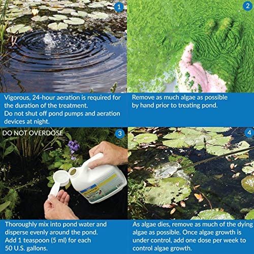 API POND ALGAEFIX Algae control 2.5-Gallon Bottle