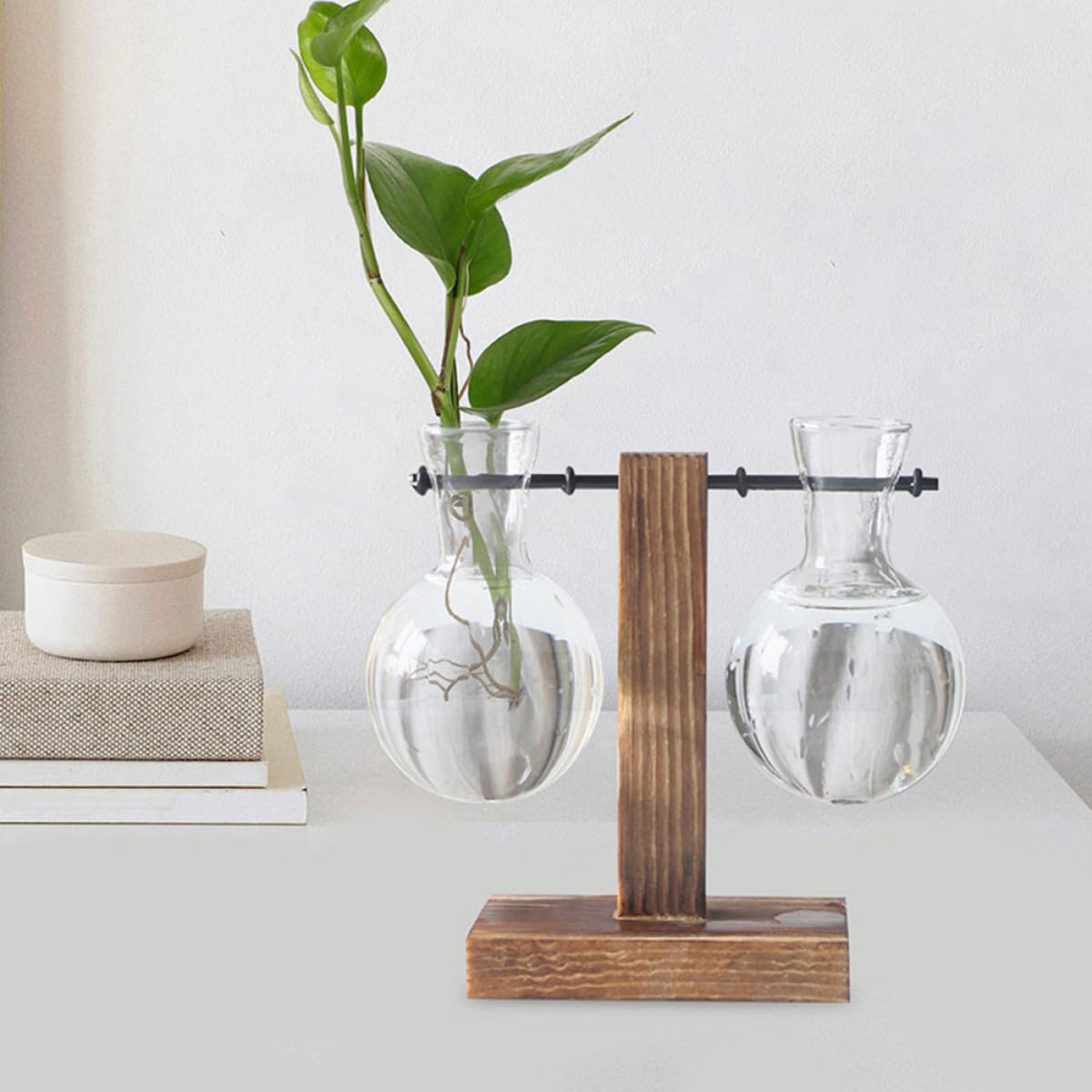 Gatuida 3Pcs Glass Propagation Planter with Wooden Stand, High Borosilicate Glass Vase for Hydroponic Plants, Desktop Terrarium Flower Vase with Hole for Home Décor