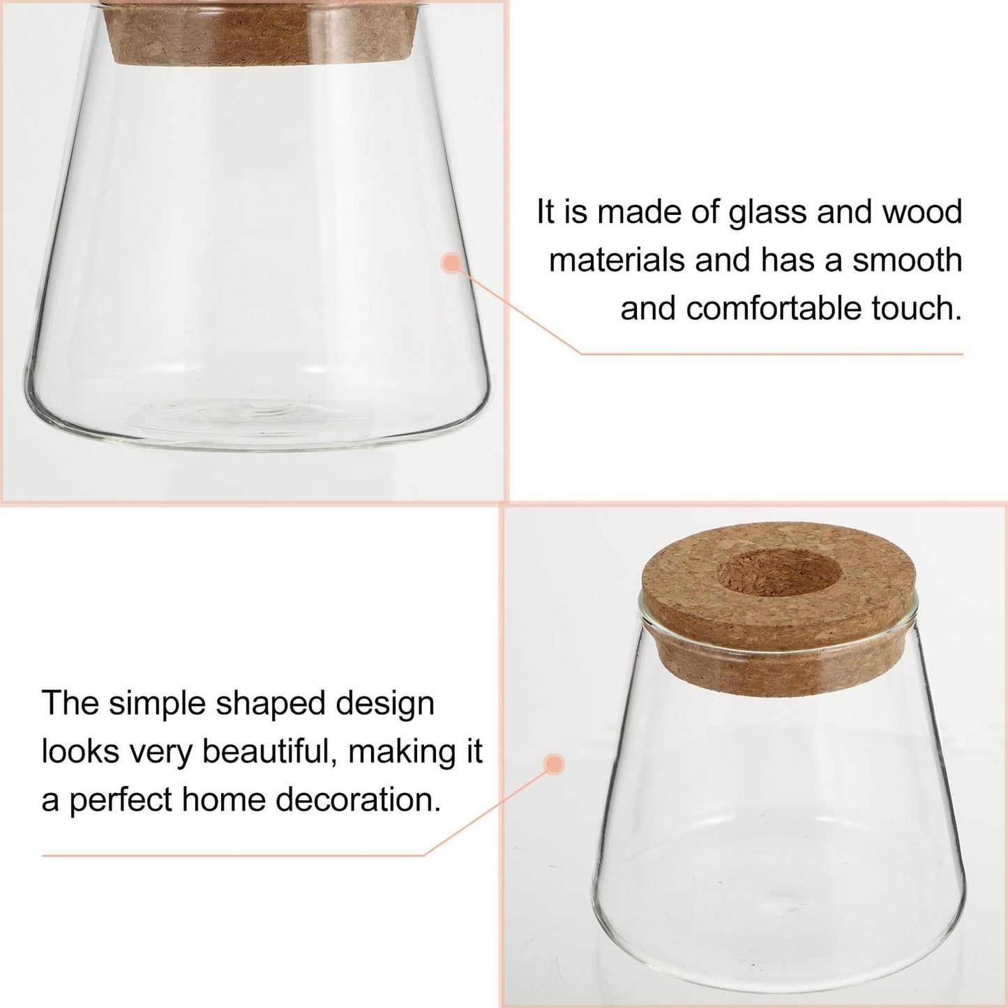 SOLUSTRE 2pcs Glass Hydroponic Plant Vases with 6.5cm Opening, Glass Terrarium for Water Propagation, Small Desktop Home and Office Garden Decoration