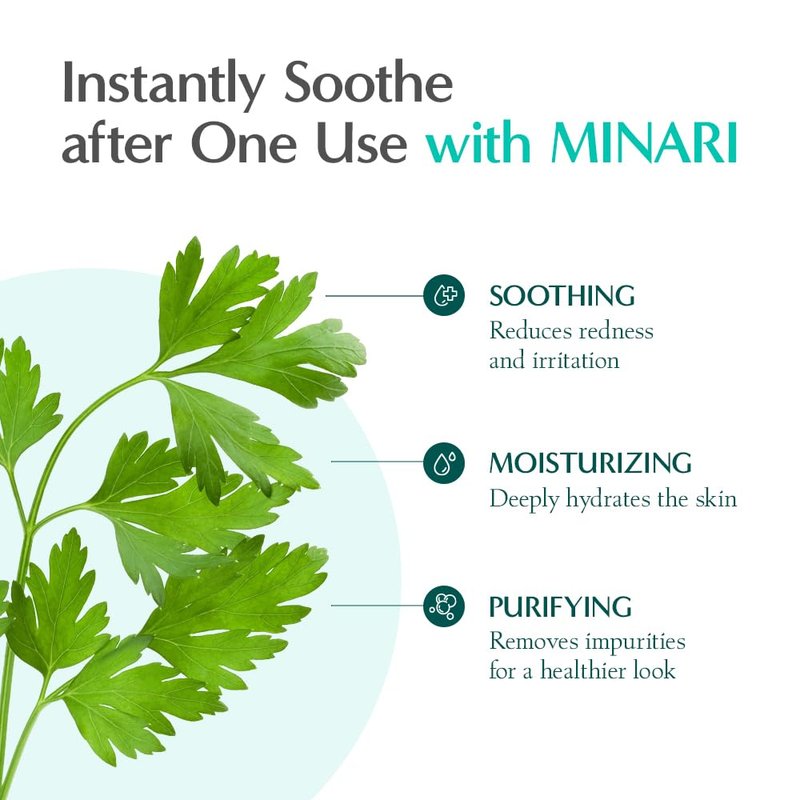 RATAPLAN Water Parsley Calming Serum 2 Pack - Korean Skincare with Hyaluronic Acid, Aloe, Centella Asiatica, Tea Tree, Heartleaf, Reduce Skin Heat, Hypoallergenic, Replenish moisture