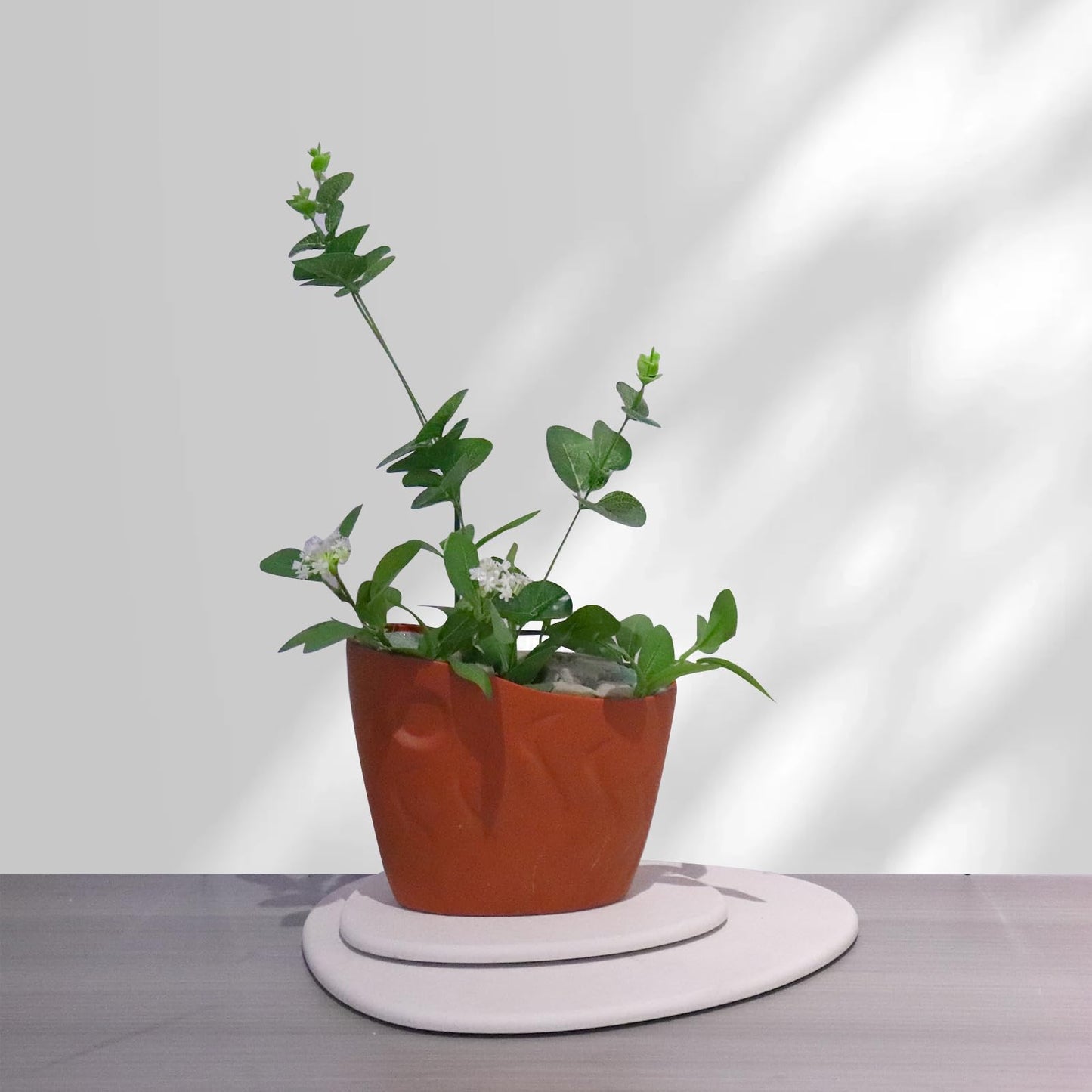 Elfcool Plant Saucer Quick Dry Absorbent Flower Plant Pot Saucer Dirp Tray Diatomaceous Earth Plant Mat for Indoor Outdoor Plants (8''-Off White-2pack)
