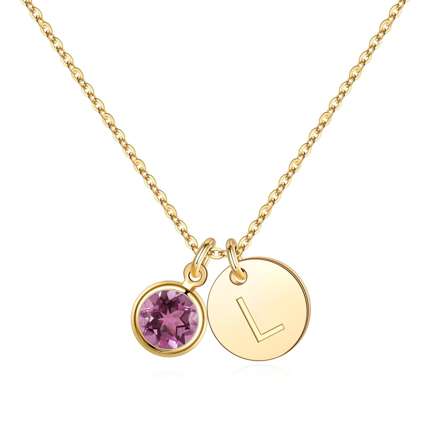 Hidepoo Initial Birthstone Necklace Gifts - Personalized Mothers Day Birthday Gift for Woman Wife Sister Grandma Mom, February Amethyst Birthstone Jewelry for Women, Disc Letter L Necklaces