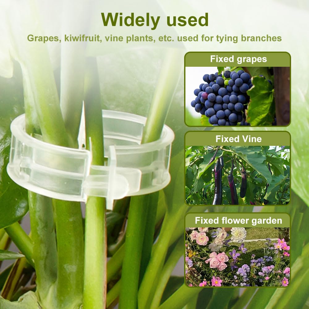 Plant Support Clips, Garden Clips for Climbing Plants, Tomato Clips Plastic Plant Clips, Plant Clips for Support Grape Tomato Vegetables Plants to Grow Upright Makes Plants Healthier (200, Green)