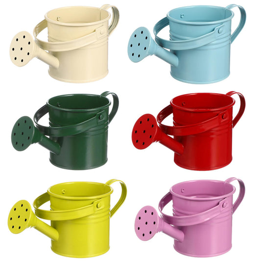 6PCS Kids Metal Watering Can Indoor Plants Small Watering Can for Indoor Plants Mini Gardening Tool Tiny Kettle for Gardening
