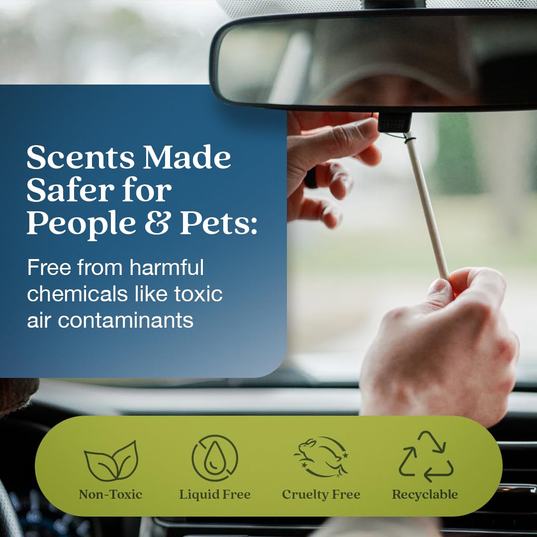 Enviroscent Non-Toxic* Car Air Freshener Auto Stix® - Fragrance Lasts Up to 180 Days - Includes Auto Stix® Diffusers & Elastic Loops - Mother’s Day Gift for Mom - Coastal Storm & Teakwood (Pack of 3)