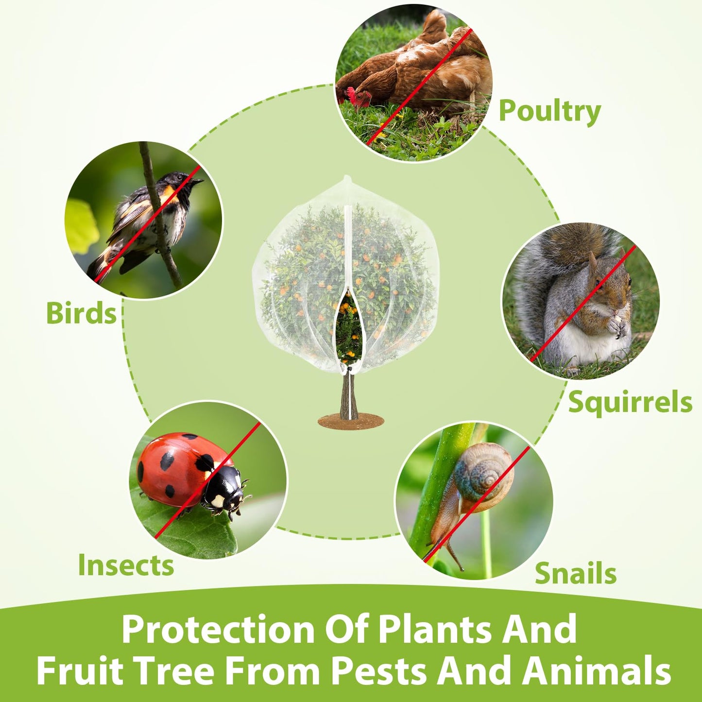 Large Fruit Tree Netting with Drawstring and Zipper, 10 * 10FT Garden Netting for Garden Protection, Insect Bird Netting for Fruit Trees, Protection from Anti Birds, Bugs,Cicadas, Insects