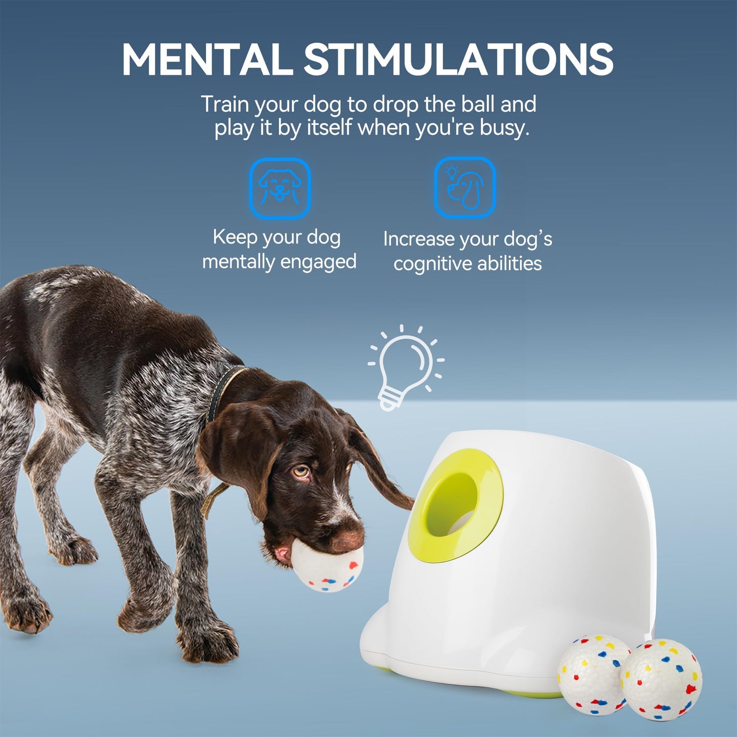 ALL FOR PAWS Automatic Ball Launcher for Dogs, Interactive Puppy Pet Balls Outdoor Thrower for Medium to Large Dogs and six 2.5-inch Tennis Balls Bundle