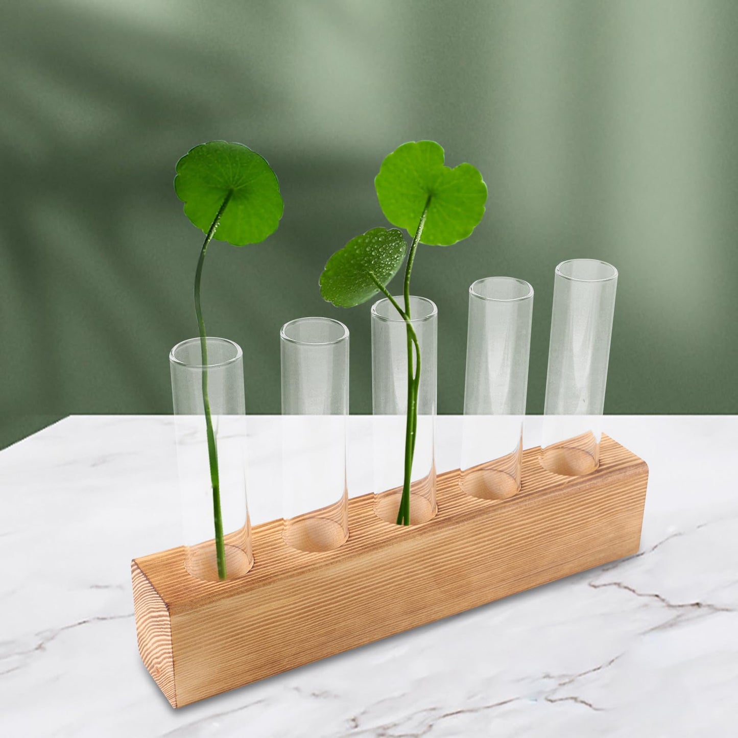 Holibanna Hydroponic Plant Terrarium Glass Vase with 5-Hole Wooden Stand, Indoor Desktop Propagation Station for Plant Growth and Decorative Home Garden Display