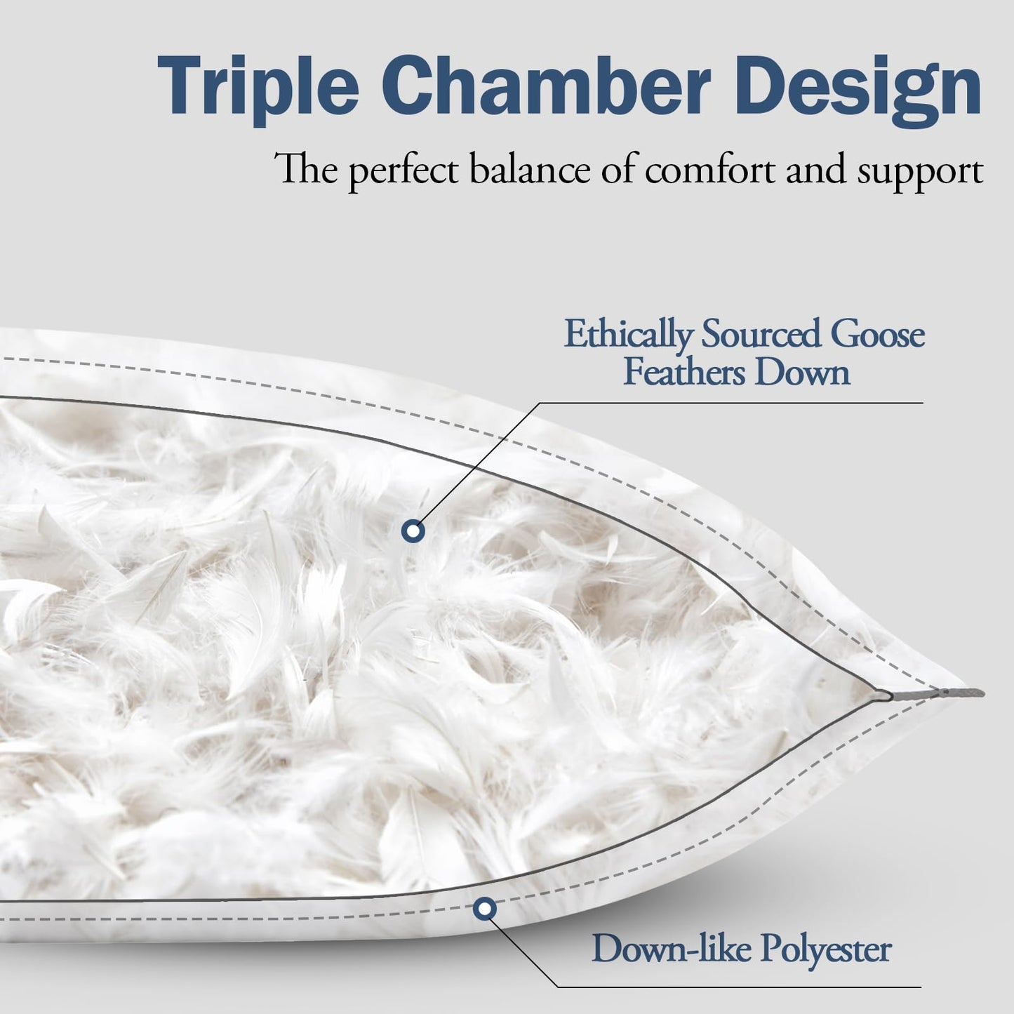 BPC Luxury Goose Feather Down Pillows Queen Size Set of 2, Hotel Bed Pillows for Sleeping, 100% Organic Cotton Cover, Soft Support Down Alternative Surround Fill for Side, Back and Stomach Sleepers