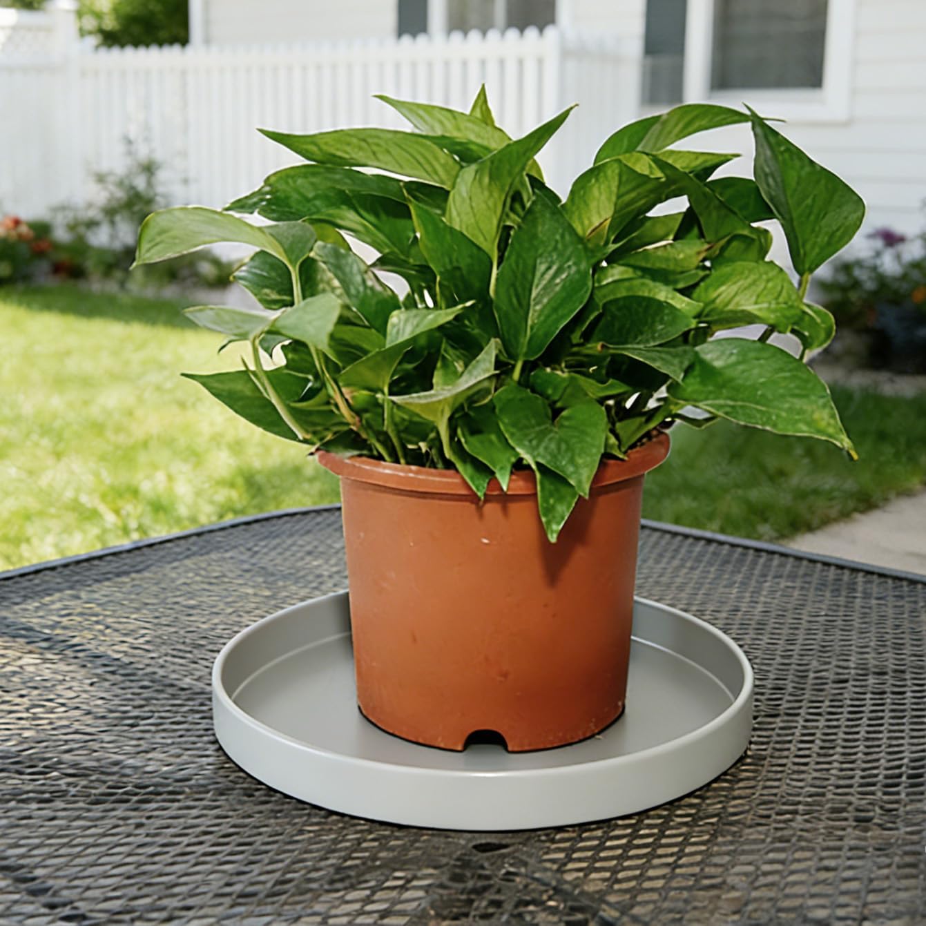 Afrine 1 Pack 12 inch Plant Saucer Drip Tray, Heavy Sturdy Plastic Planter Flower Pot Drainage Tray Plate Saucers for Indoor Outdoor Garden, Plant Water Drip Trays for pots Base (12", Gray)