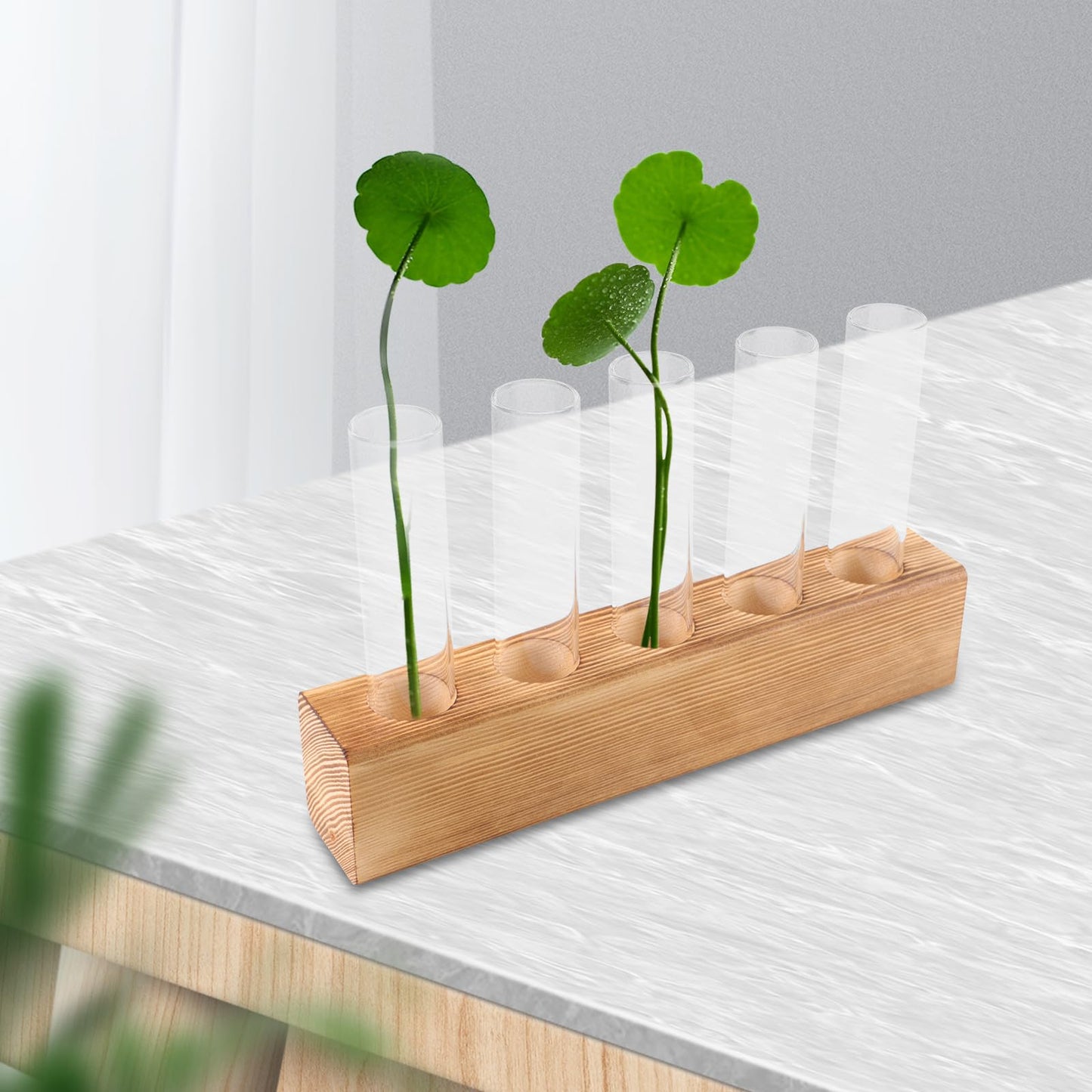 VICASKY Hydroponic Glass Vase with 5-Hole Wooden Stand, Tabletop Plant Propagation Station for Indoor Flower Plant Terrarium and Home Décor