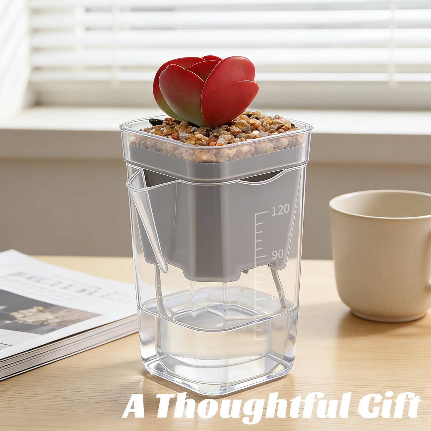 20 Pack 2.5“ Mini Self Watering Pots for Indoor Plants, Small Clear Plastic Planters with Water Level Indicator & Drainage Holes, Perfect for Alocasia Corm Propagation, Seedling, Cuttings (20, 2.5“)
