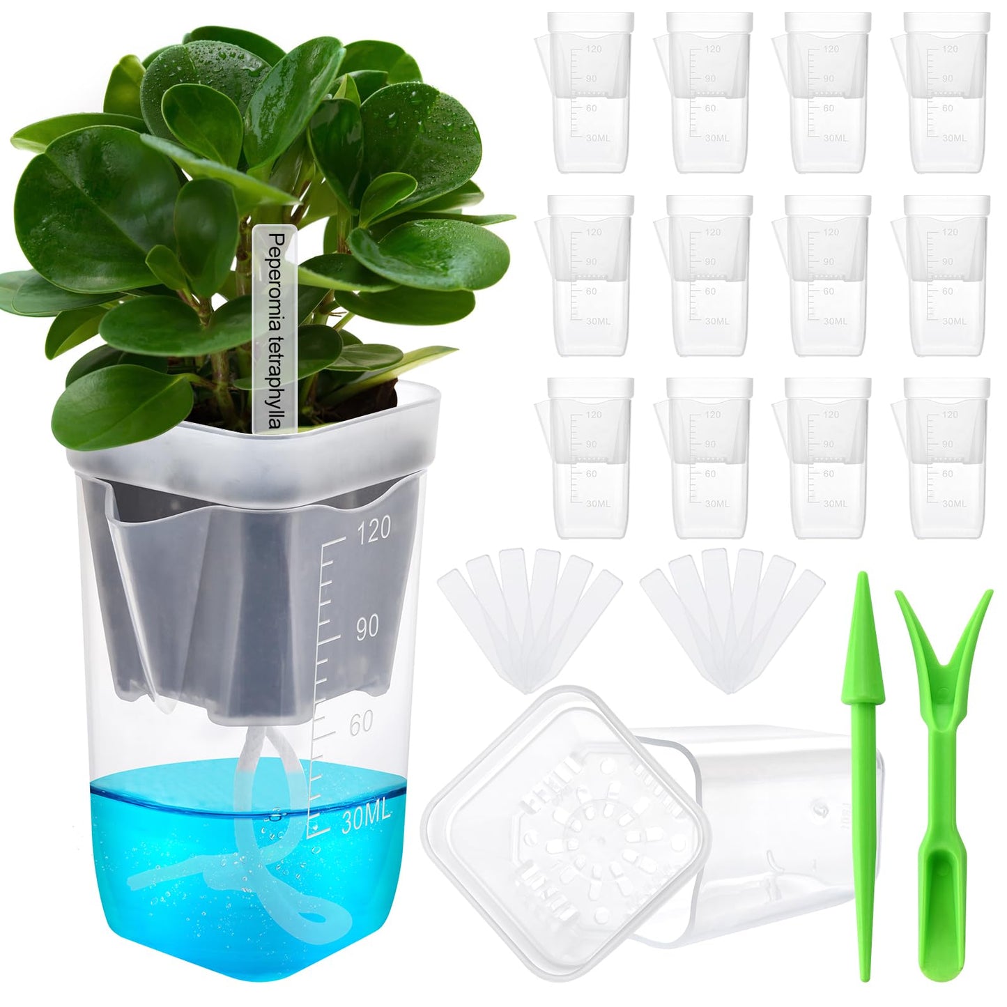 12PCS Mini Self Watering Pots for Indoor Plants - 2" Small Clear Planter with Wicks & Water Level Indicator, Plastic Automatic-Watering Pot for African Violet, Succulent, Alocasia, Hoya, Plant Label