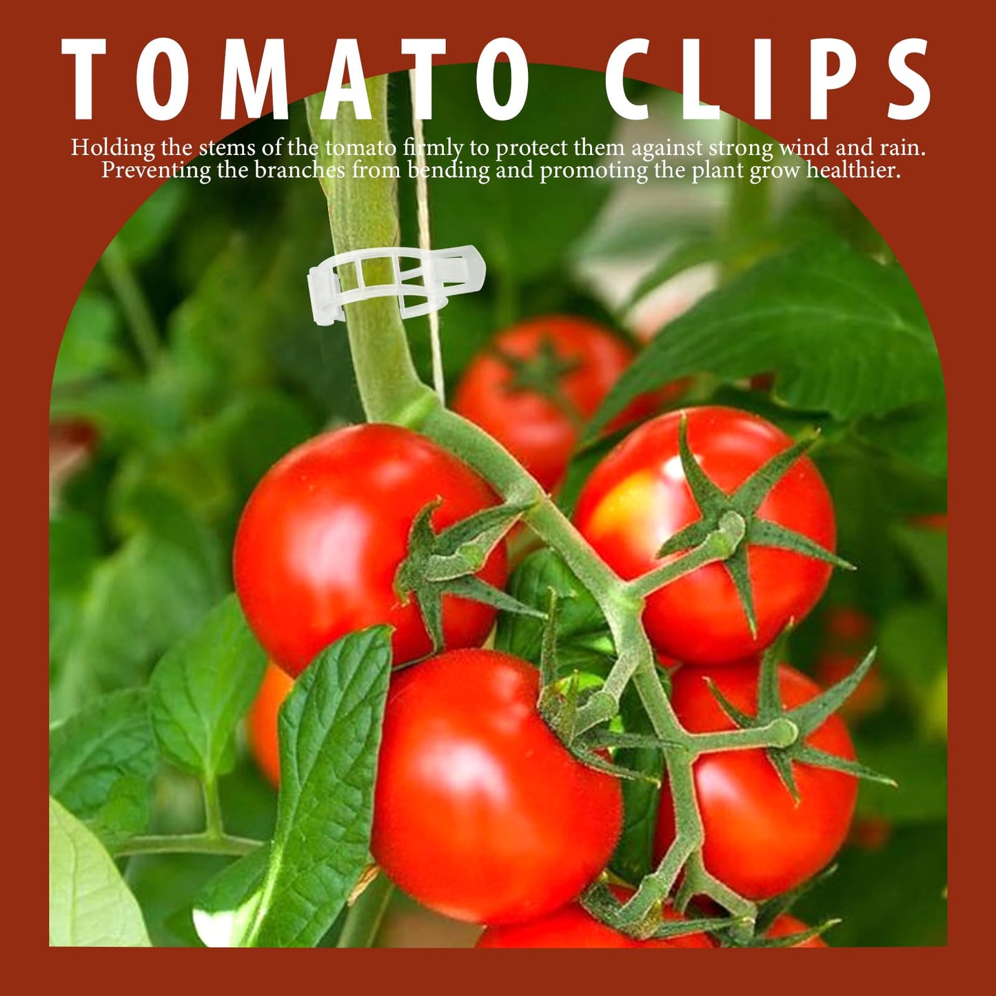 FANDAMEI 300 PCS Plant Support Clips, Plastic Garden Plant Ties, Tomato Clips Trellis for Tomato Cucumber Flower Squash Vine, 1” Inner Diameter for Climbing Plants
