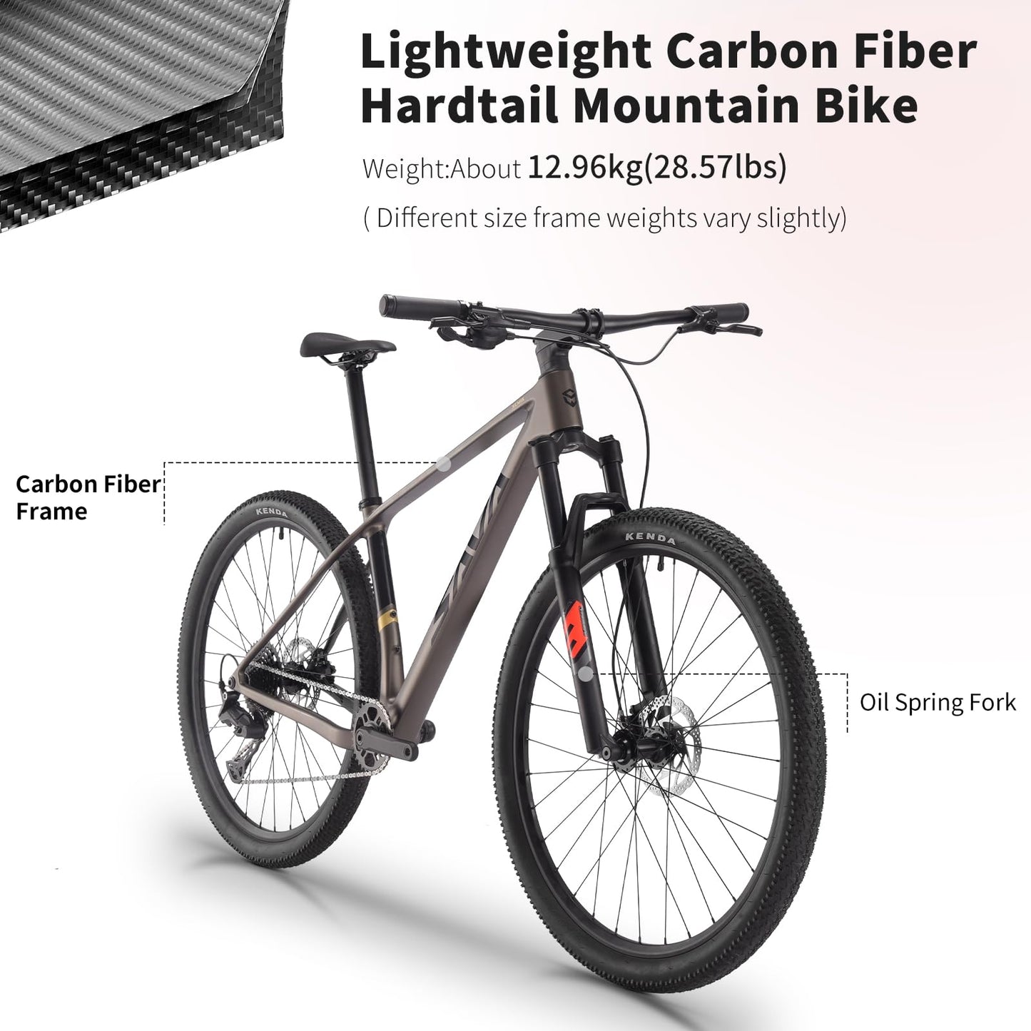 SAVADECK Carbon Fiber MTB with U6000 10 Speed Shift Groupset, Hydraulic Disc Brake wMT200 Break System (Gulf Blue, 29 * 17)